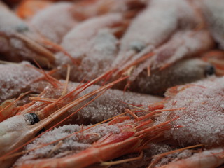 Frozen shrimp covered in ice. Defrost frozen shrimp covered with ice in the open air