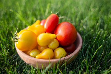 Red and yellow tomatoes on a wooden plate