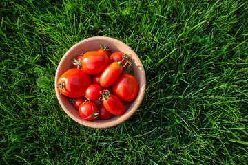 Red tomatoes on a wooden plate