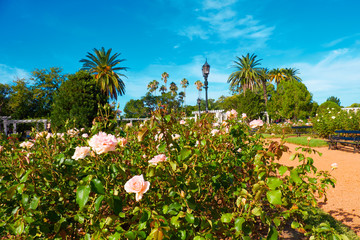Buenos Aires, Argentina. Rose Park within Parque Tres de Febrero, or Bosques de Palermo (Palermo Woods in English), an urban park in Palermo neighborhood.