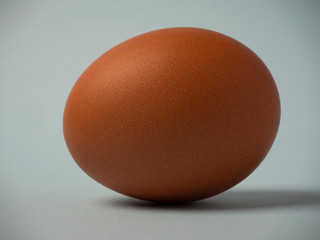 One brown chicken egg close-up isolated on a blue background. Egg shell texture.