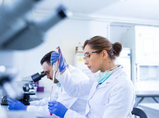 Biologists examining samples in laboratory