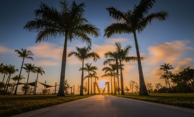 Obraz na płótnie Canvas palms sun beach florida miami sunset tree miami tropical sky sea nature landscape island sunrise summer silhouette palm tree coast