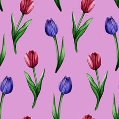 Obraz premium Watercolor hand drawn seamless pattern with colorful tulip flowers on pink background. Delicate botanical pattern for trendy design.