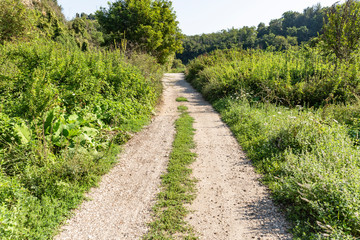 Fototapeta na wymiar a dual track gravel road in the forest next to Campagnano di Roma, province of Rome, Lazio, Italy
