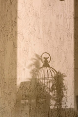 Shadows on the wall. Shape of bird cage.