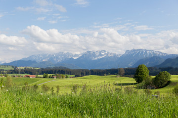 Obraz premium pond, reflection, upper bavaria, mountain peak, green, rolling hills, bloom, summit, top, blossom, upper, hills, bayern, rolling, land, national, park, environment, panoramic, scenery, hiking, rural, 