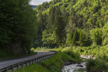 roads that cover the breathtaking landscapes of the Alps, abundant green vegetation and mountain views
