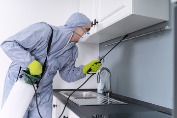 Exterminator In Spraying Pesticide In Kitchen