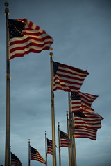 American Flags at Sunset