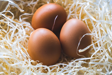 closeup fresh eggs on the hay straw background texture with warm tone color the chicken egg used to...