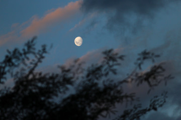 lua crescente no fim da tarde