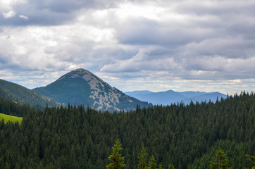 Obraz premium The top of the Gorgany Ridge. Views on Khomyak mountain, Carpathian Mountains, Ivano-Frankovsk Region, Ukraine