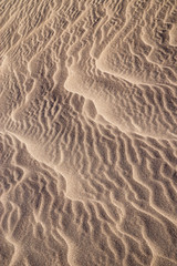sand dune background