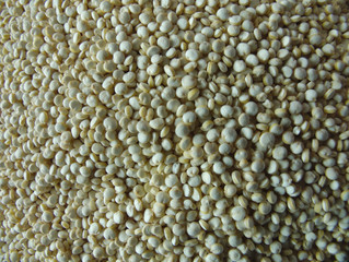 Quinoa grains, Peruvian cereal known as quinoa, a large portion of quinoa.