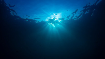 Underwater background in clear blue ocean with sunbeams 