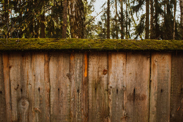 Rustic Wooden Fence With Moss Growing on it. Wood, exteriors.