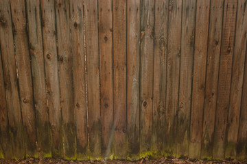 Rustic Wooden Fence With Moss Growing on it. Wood, exteriors.