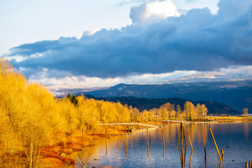 Autumn landscape on the Columbia River with yellowed trees and pillars from an old marina