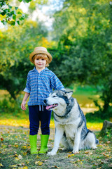 Naklejka na ściany i meble Little boy with dog walk together on green hill. Summer portrait of happy cute kid - son with dog pet. Little brother walk with puppy. Childhood memories.