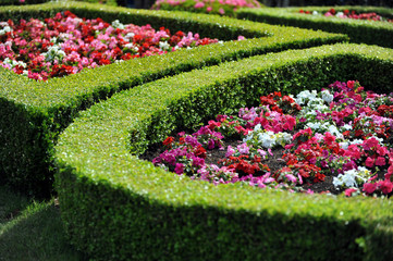 旧古河庭園の生垣とガーデニングの風景