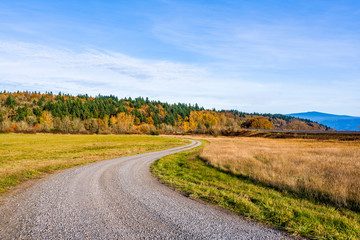 Winding dirt road among meadows in Columbia Gorge in autumn