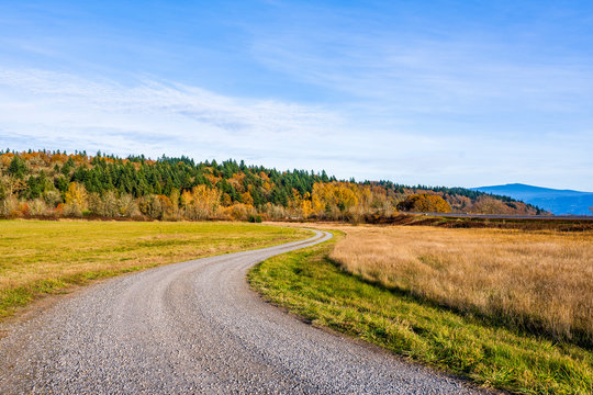 Winding dirt road among meadows in Columbia Gorge in autumn