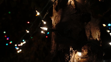 blurry Christmas tree lights on a tree
