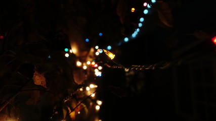 blurry Christmas tree lights on a tree