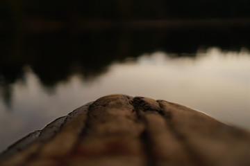 wood log on the water