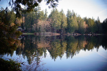 reflection of trees in lake
