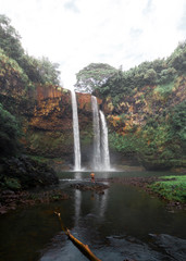 Hawaii Waterfall Dream