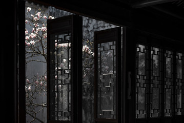 old Chinese doors with flower windows  in spring