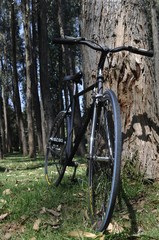 Fototapeta na wymiar bicibleta, bici, naturaleza, ruedas, eco, movilidad, bosque