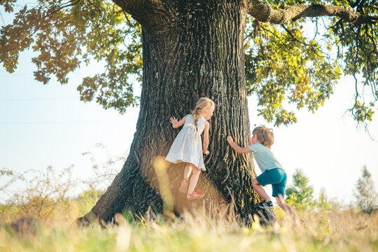 Little cute toddler boy and girl having fun and climbing on tree in summer forest. Children on a big tree.