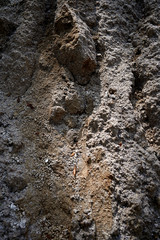 Texture of rough dirt.