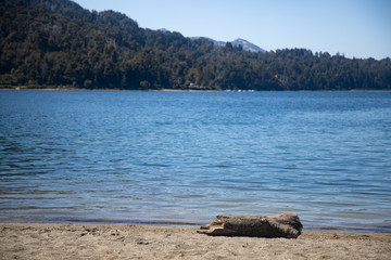 Wooden log and Nahuel Huapi lake in background in Bahia Manzano, Patagonia Argentin. Relaxing tourist landmark