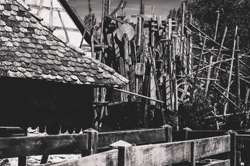 Fototapeta premium woodlands_03001