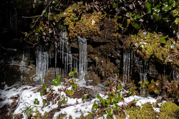 A background with moss, icicles and snow from Alum Cave Trail in the Great Smoky Mountains National Park
