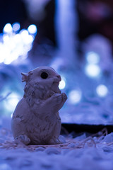 stuffed rabbit on the table