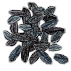 Dried dark raisins on a white background vector illustration