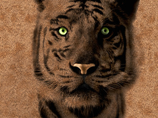 Tiger art poster, fur background
