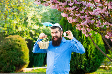 Funny man having fun in park. Easter egg hunt concept. Humorous series of a man in bunny suit.