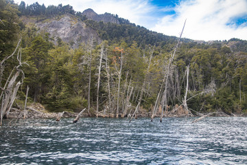 The submerged forest in Lake Traful, Patagonia Argentina. Some versions warn of a possible slope of...