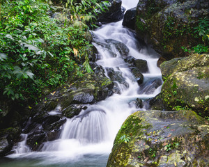 waterfall in forest