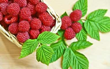 A lot of fresh Raspberry with green leaf in basket on wooden table.