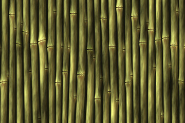 bamboo texture background