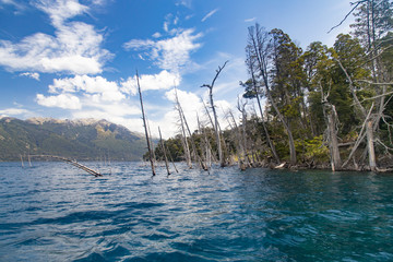 The submerged forest in Lake Traful, Patagonia Argentina. Some versions warn of a possible slope of...