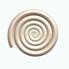 sea shell isolated on white background