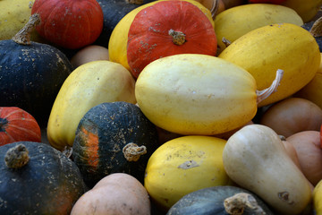 fruits and vegetables